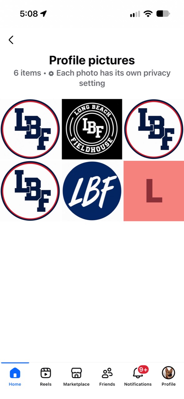 LBF